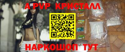 индика Камышлов