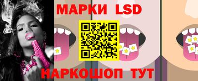 индика Камышлов