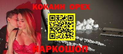 индика Камышлов