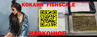 индика Камышлов