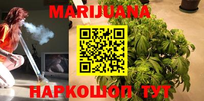 индика Камышлов
