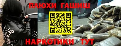индика Камышлов