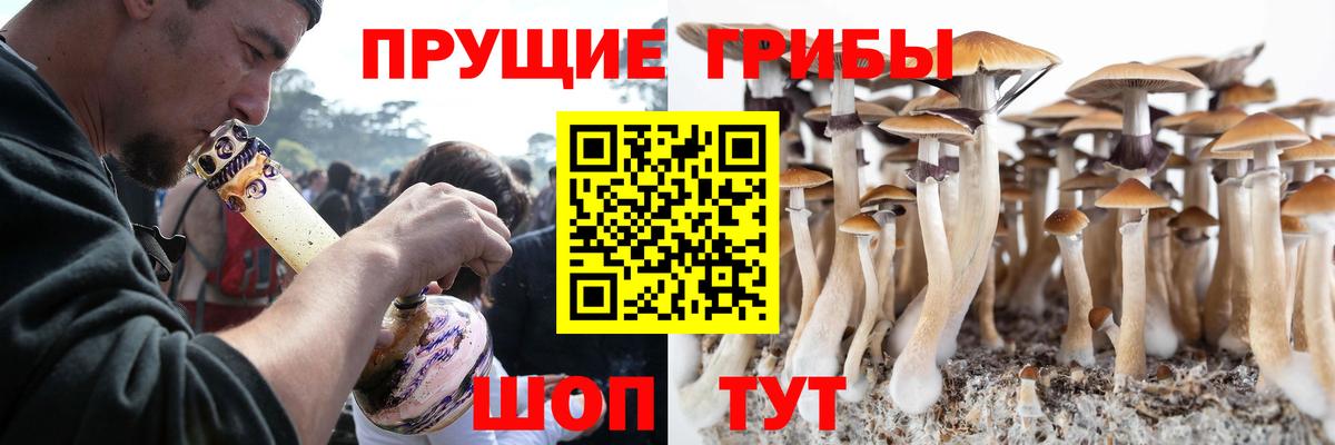 Псилоцибиновые грибы прущие грибы Еманжелинск